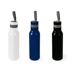 Арт. 2624 Термопляшка Bloom2 з логотипом, ТМ Discover